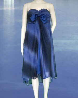 Overlay dress 10.0a