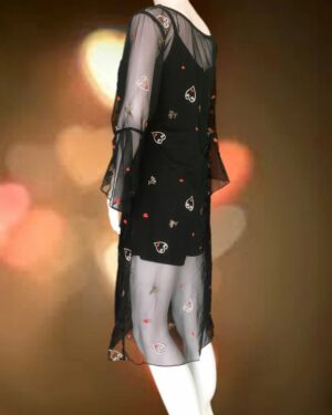 Sheer dress 5.0d