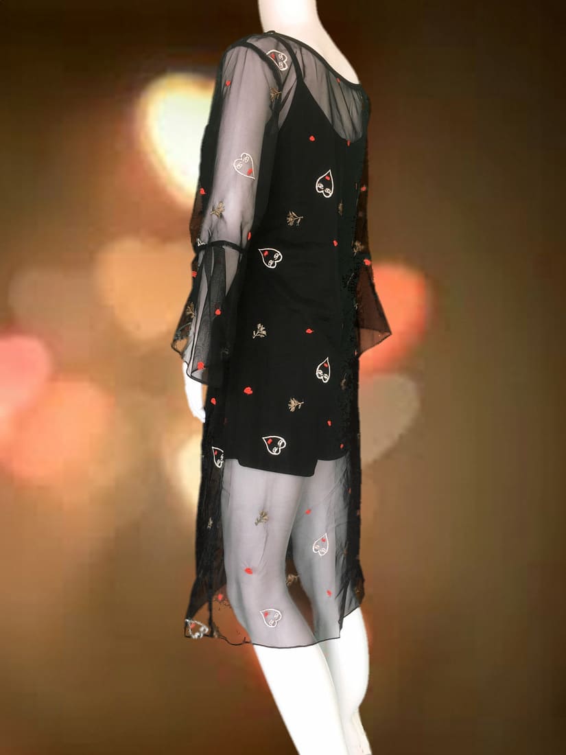 Sheer dress 5.0d