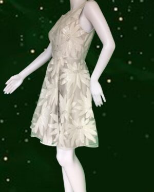 Young Fashion 15