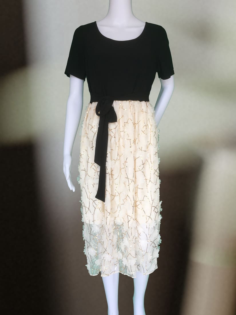 Two Colors dress 2.0a